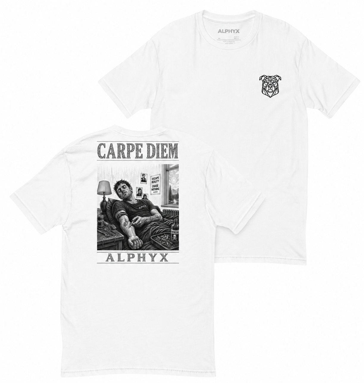 ALPHYX EXPRESSIONS Carpe Diem Men's Fitted T-Shirt