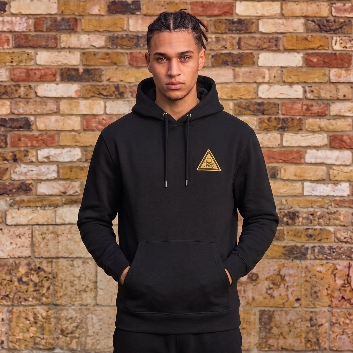 Chemical World Regular hoodie