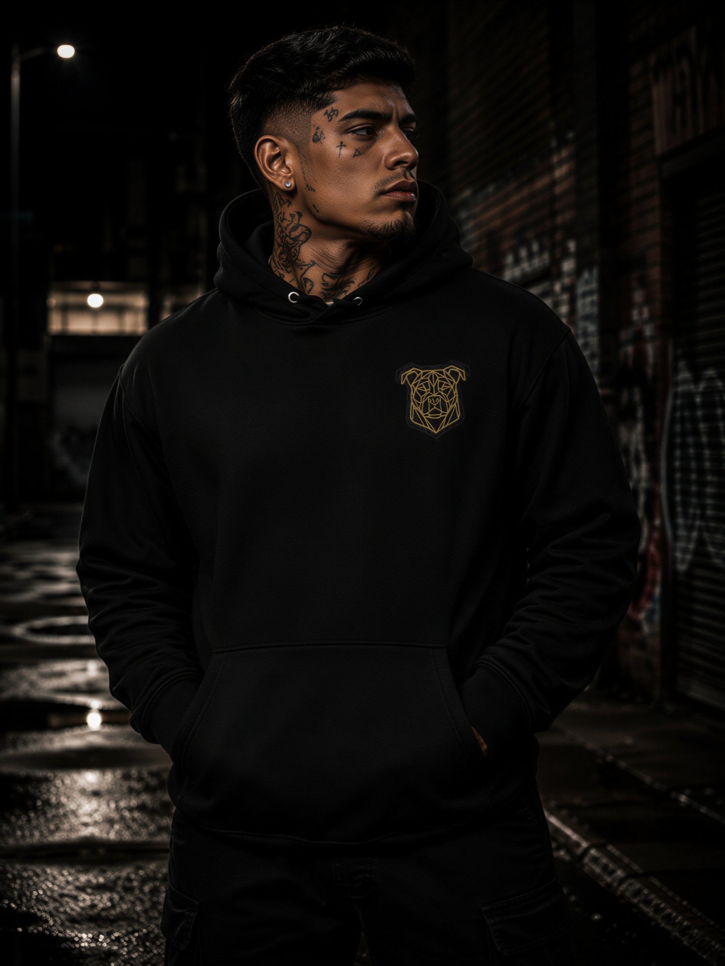 ALPHYX EXPRESSIONS WE ARE BEING HYPNOTIZED Hoodie